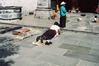 Filename : F1000021.JPG
Filesize : 799KB
Dimensions : 1840x1232
Date added : Mar 26, 2004 F1000021.JPG
