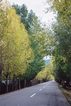 Filename : F1000022~0.JPG
Filesize : 1036KB
Dimensions : 1232x1840
Date added : Mar 26, 2004 F1000022~0.JPG