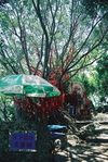 F1090001.JPG