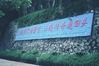 F1090011~0.JPG