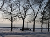 Filename : IMG_1243.JPG
Filesize : 1368KB
Dimensions : 1600x1200
Date added : Jan 25, 2005 IMG_1243.JPG